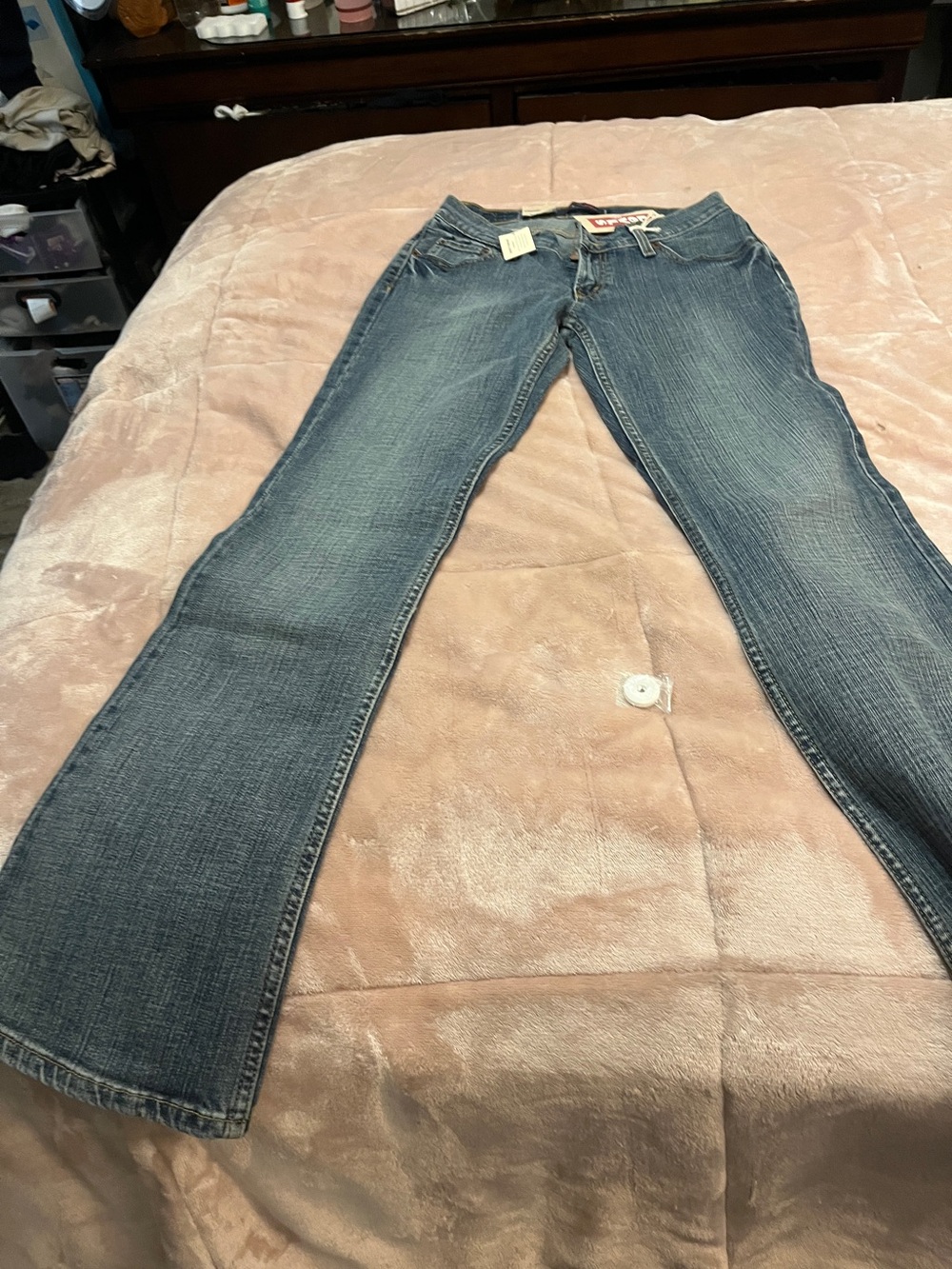 Levi - Picture 2 of 5